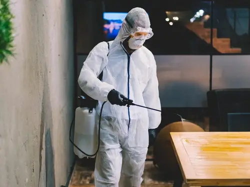 Fumigaciones en Trujillo - Proyecto X
